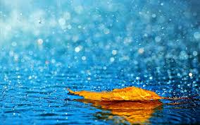 How to Make Fragrances Last in Humidity & Rainy Seasons